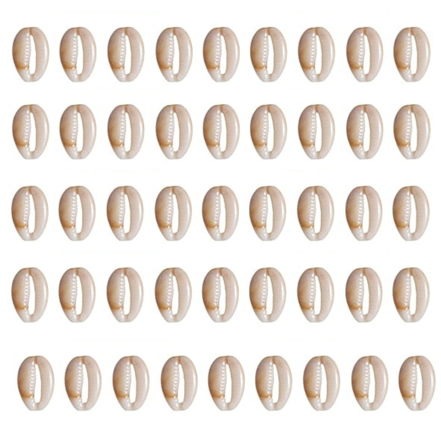 Cowrie Shell Charms Beads Hand Sew Pendants Shell Charm ( 19 mm )