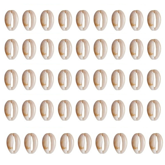 Cowrie Shell Charms Beads Hand Sew Pendants Shell Charm ( 19 mm )