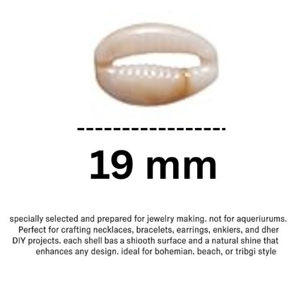 Cowrie Shell Charms Beads Hand Sew Pendants Shell Charm ( 19 mm )
